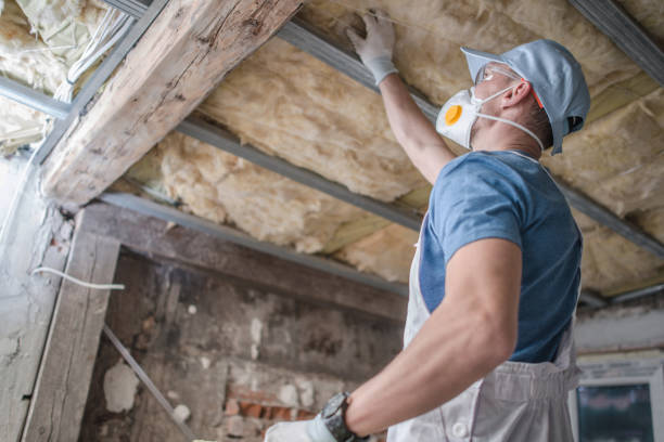 Best Insulation for Specific Applications in Cheree, OK